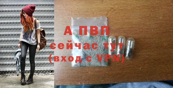 PSILOCYBIN Нея