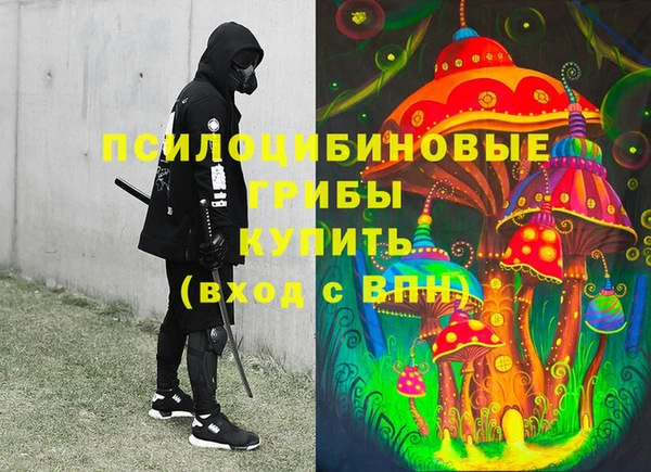 PSILOCYBIN Нея