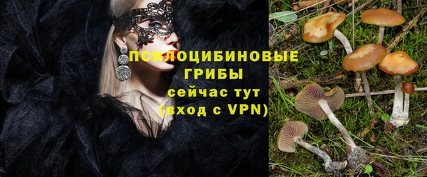 mdpv Нефтегорск