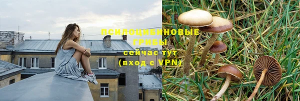 стафф Бабаево