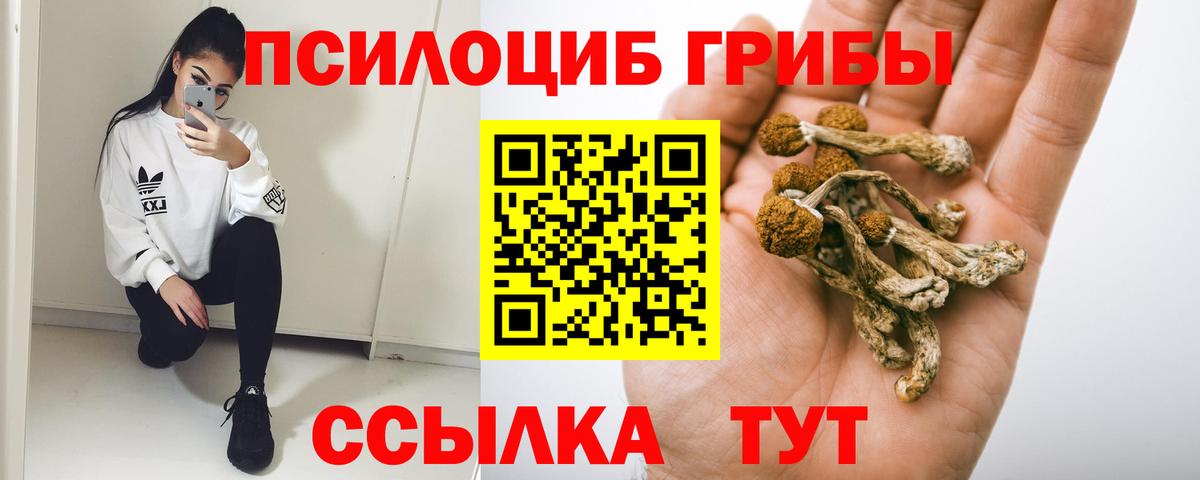 Галлюциногенные грибы прущие грибы  Вход с VPN  Владимир  Галлюциногенные грибы Psilocybine cubensis 